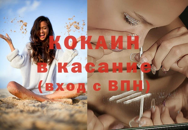 стаф Пересвет