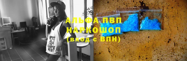 хмурый Ладушкин