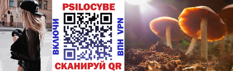 Галлюциногенные грибы MAGIC MUSHROOMS  купить наркотики сайты  Медвежьегорск 